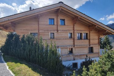 Beautiful and luxurious chalet with indoor pool- Gstaad Valley