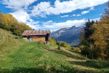 8 Rooms Chalet
