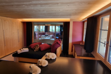 Beautiful and luxurious chalet with indoor pool- Gstaad Valley