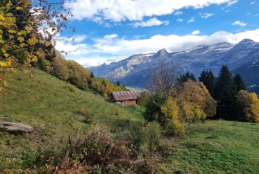 8 Rooms Chalet