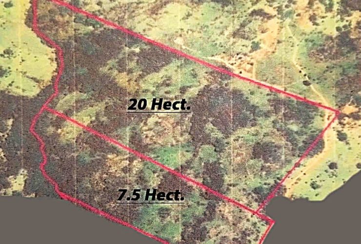 Paraguay - Unique investment opportunity ! Building land in a paradise of nature