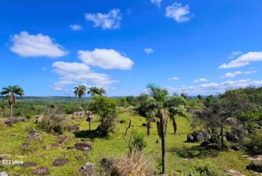 Paraguay - Unique investment opportunity ! Building land in a paradise of nature