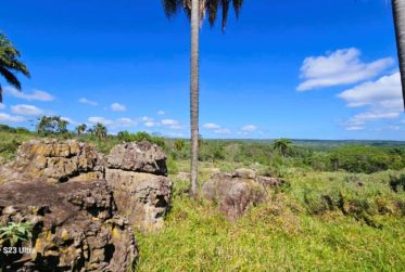 Paraguay - Unique investment opportunity ! Building land in a paradise of nature