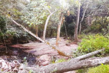 Paraguay - Unique investment opportunity ! Building land in a paradise of nature