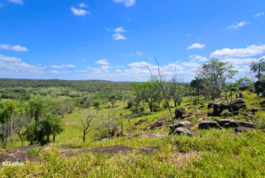 Paraguay - Unique investment opportunity ! Building land in a paradise of nature