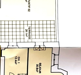 Magnificent apartment in a luxurious historic residence